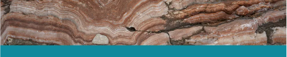 Bücher Geologie und Paläontologie - Le Club Biotope