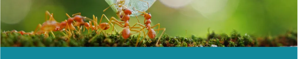 Livres de Photographie / Beaux Livres - Le Club Biotope