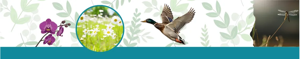 Livres Découverte de la Nature - Le Club Biotope