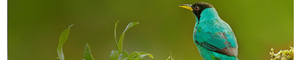 Zoology / Wildlife Books - Le Club Biotope