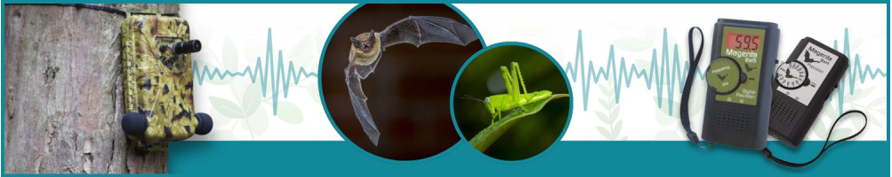 Study of ultrasound - Le Club Biotope