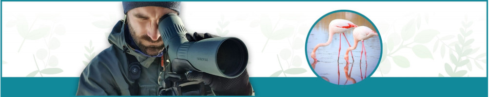 Catalejo - Le Club Biotope