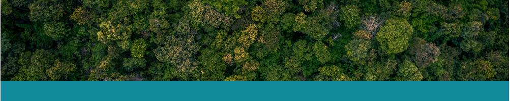 Forestry Books - Le Club Biotope