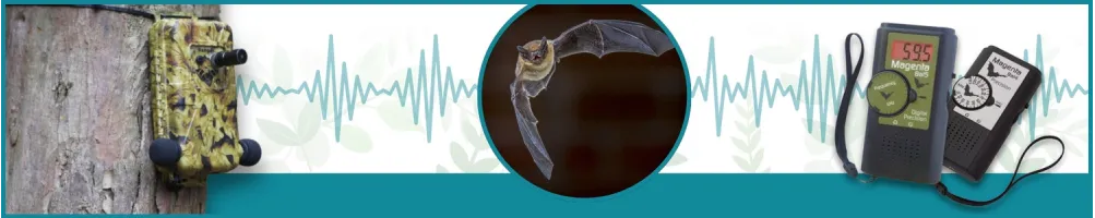 Detectores de ultrasonidos - Le Club Biotope