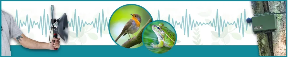 Parabolische Mikrofone - Le Club Biotope