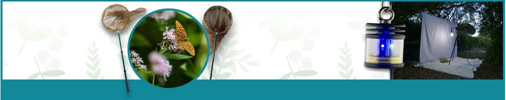 Redes para mariposas y redes de mano - Le Club Biotope