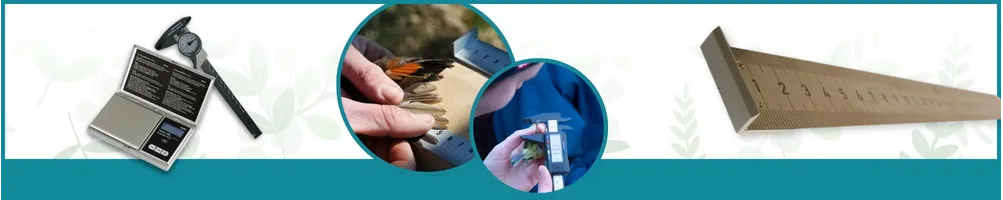 Listen to the birds - Le Club Biotope