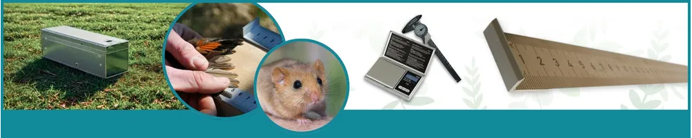 Fang, Messung und Instrumentierung - Le Club Biotope