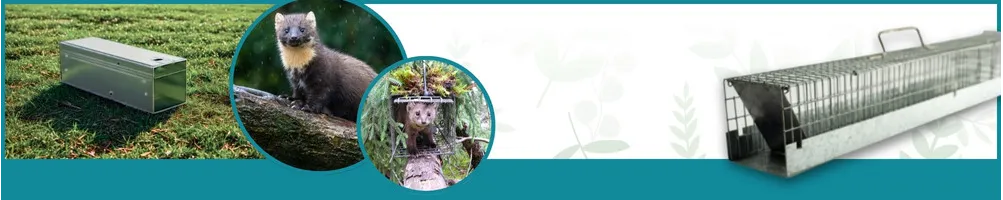 Nicht-tödliche Falle - Le Club Biotope