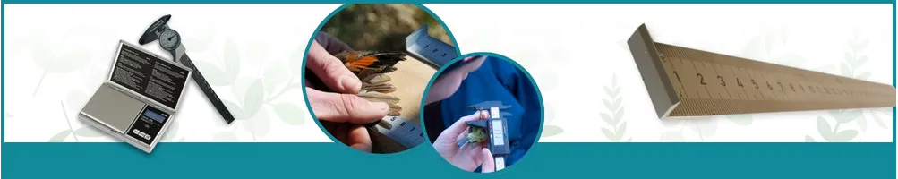 Equipo de medición e instrumentación - Le Club Biotope