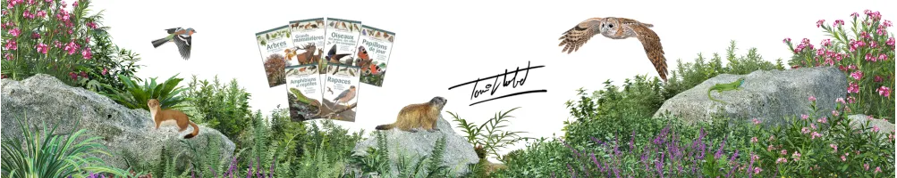 Las miniguías de naturaleza