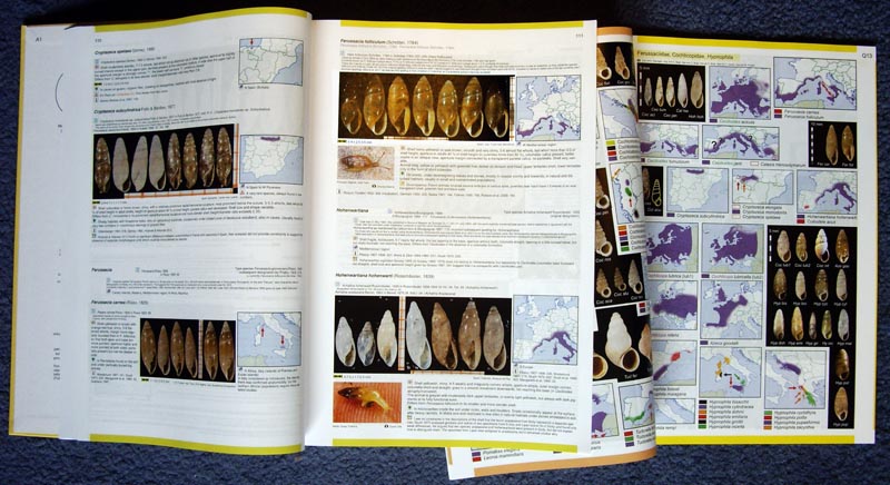 European-Non-marine-Molluscs-a-Guide-for-Species-Identification-2.jpg