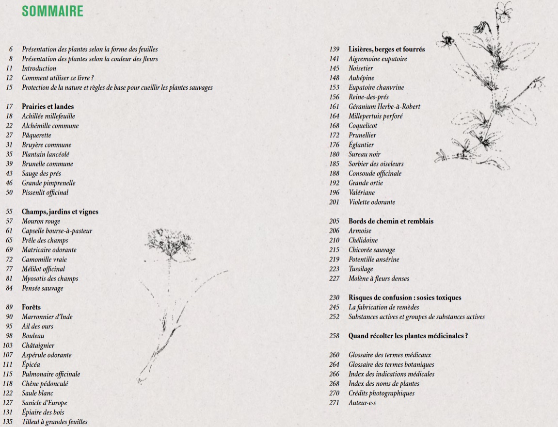 50 plantes medicinales sauvages