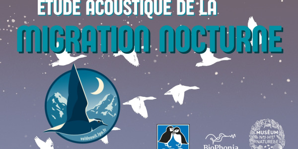 L'étude acoustique de la migration nocturne, une pratique devenue incontournable