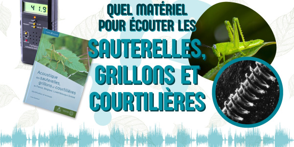 Quel matériel choisir pour écouter les sauterelles, grillons et courtilières ?