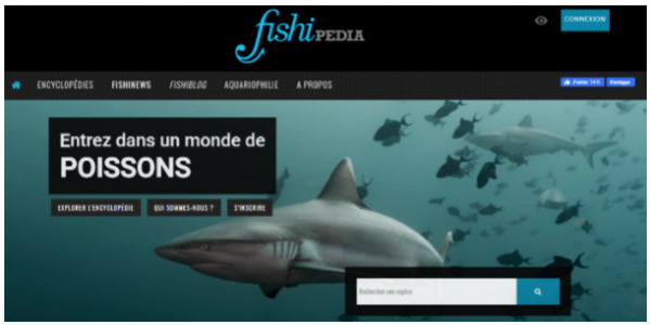 Plongez à la rencontre de la faune marine