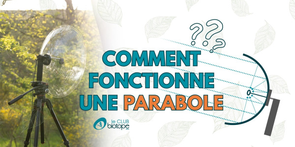 Comprendre le principe d’une parabole acoustique