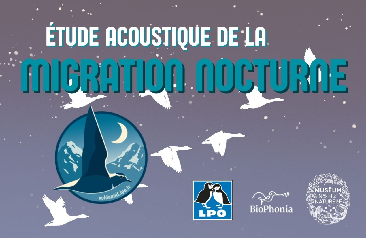 The acoustic study of nocturnal migration, a key method in ornithological research