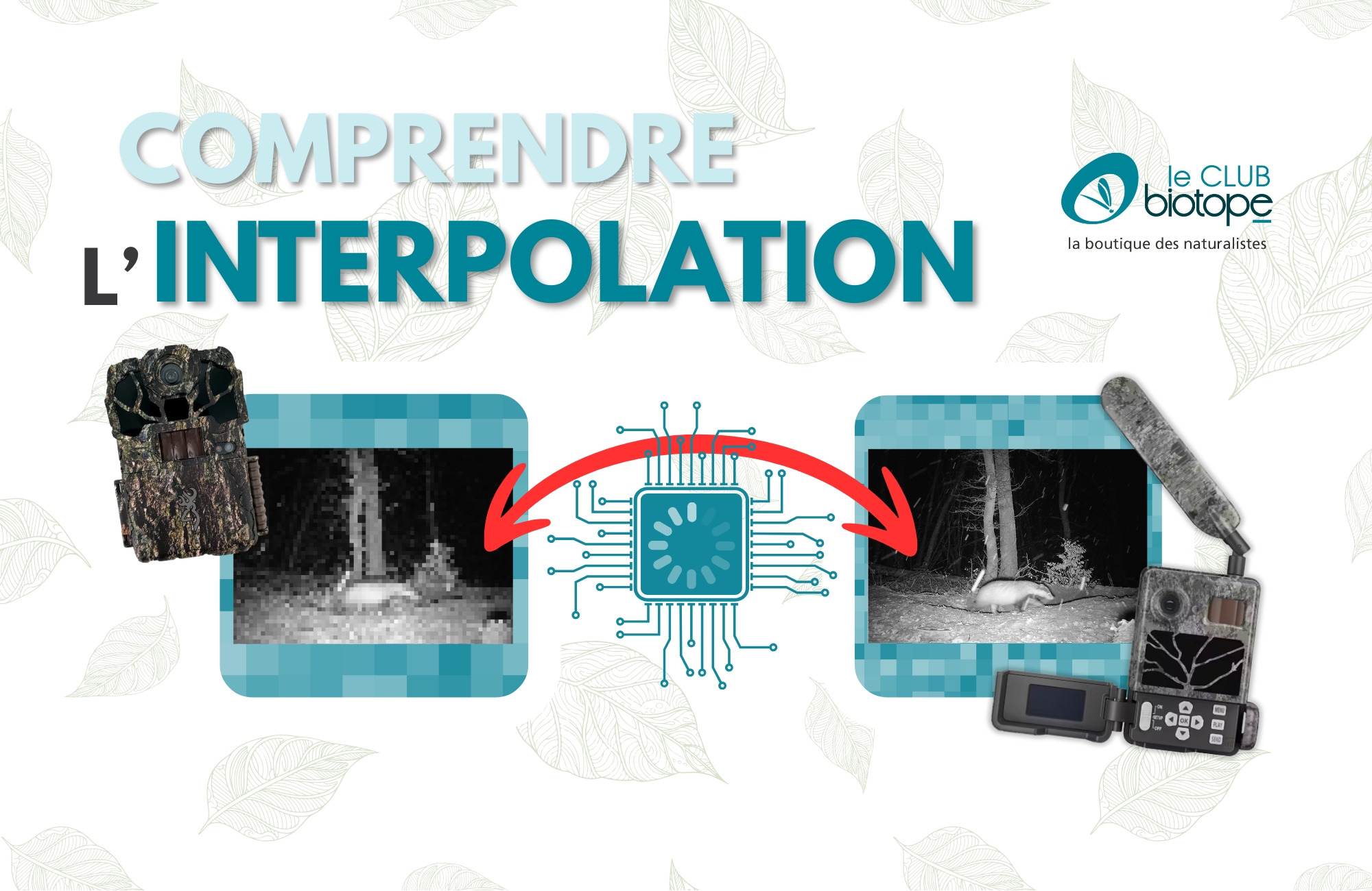 Comprenez les mégapixels des pièges photos !