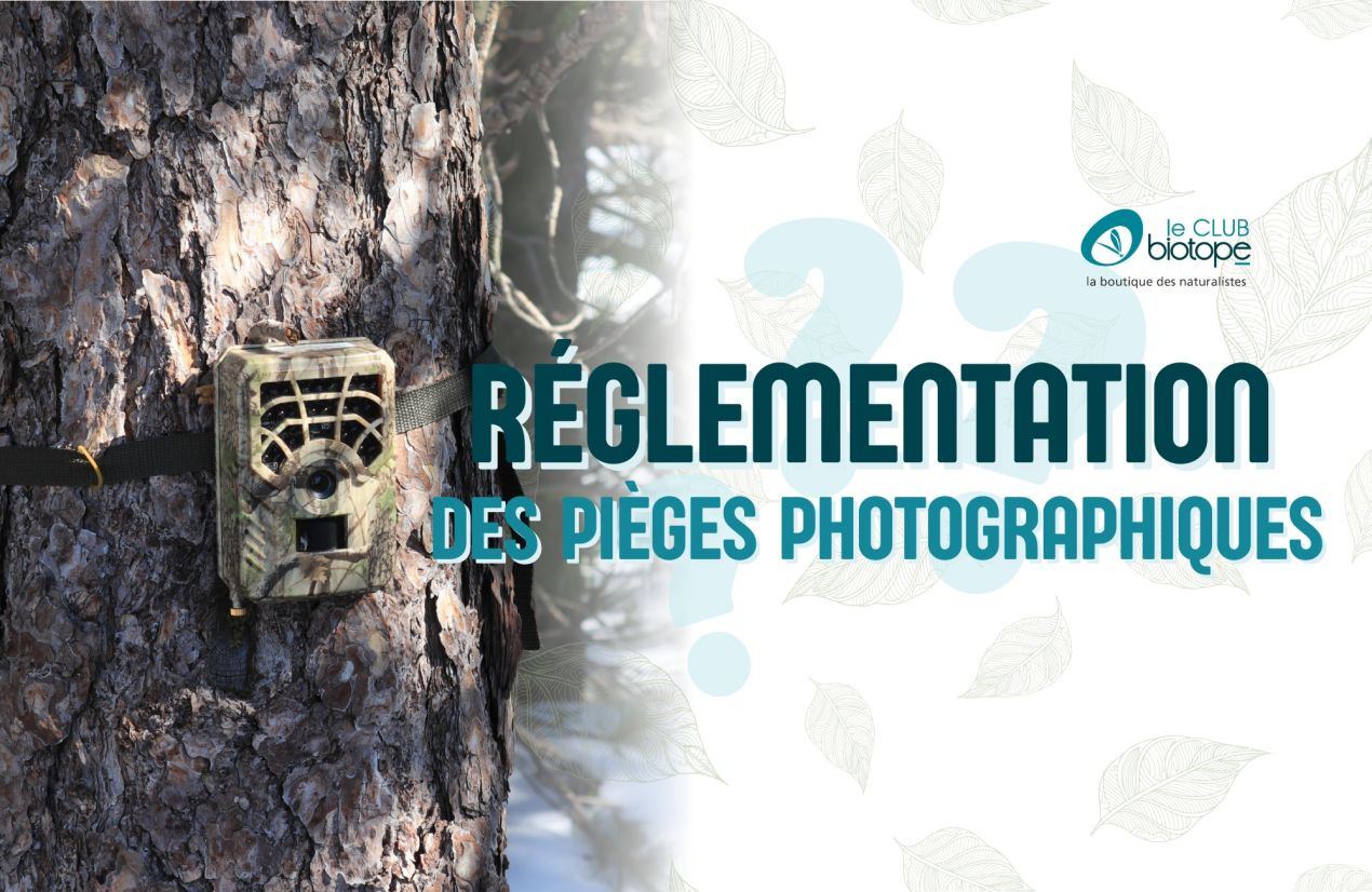 Quelle est la réglementation française autour des pièges photographiques ?